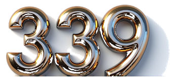 339 logo