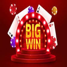 339 Sportsbook